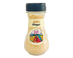Ginger Powder 50 gr (پودر زنجبیل)