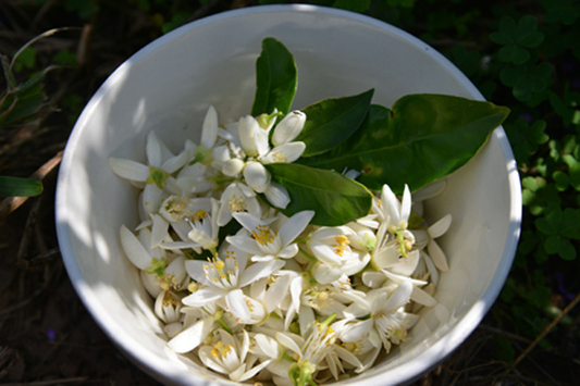 Sweeten Your Day: Order Orange Blossom Jam and More Online