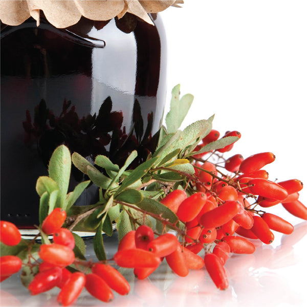 Barberry Jam 350 gr (مربای زرشک)