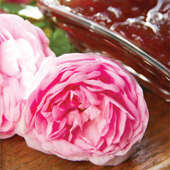 Rose Jam 350 gr (مربای گل محمدی)