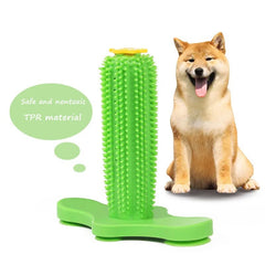 Health safety dog toy, Kong toy for small dogs, Yorkshire Terrier chew toy, Dental cleaning dog toy, Rubber puppy toy, Suction cup dog toy, Durable chew toy for dogs, Puppy toothbrush toy, Engaging pet toy, Oral hygiene dog toy.